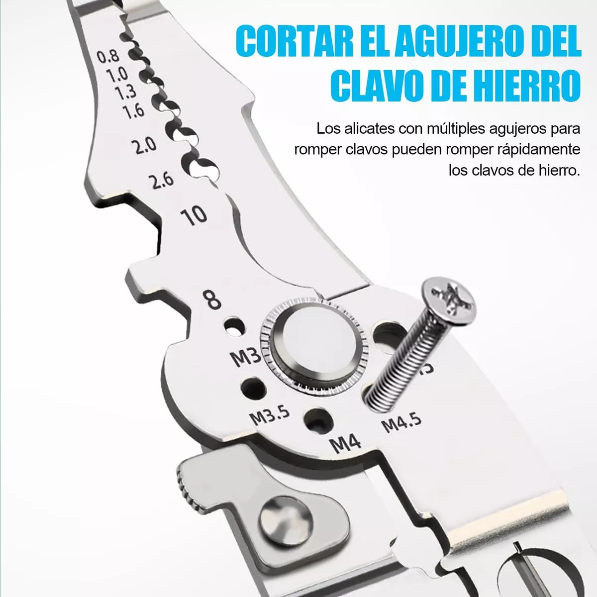 D_NQ_NP_2X_779319-MLM81532171983_122024-F