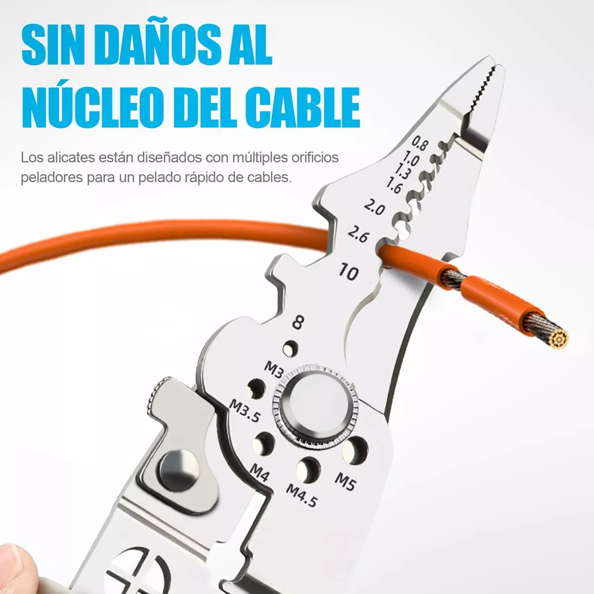 D_NQ_NP_2X_969834-MLM81263203864_122024-F