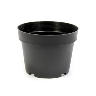 Paquete 500 Masetas para Vivero 6" - Estilo Asalea